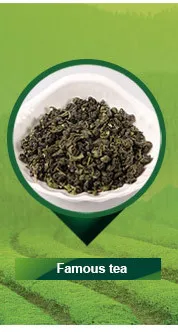 catalog_02.jpg