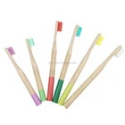 Free Sample Bamboo Toothbrush 100% Biodegradable