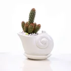 Simple Creative Snail Design Home Garden Office Ceramic Plant Flower Succulent Pot with Tray