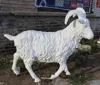 /product-detail/fiberglass-old-sheep-statue-for-sale-60522952415.html