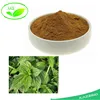 /product-detail/top-selling-100-natural-nettle-leaf-extract-stinging-nettle-extract-nettle-leaf-tea-60812088903.html