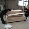 /product-detail/hot-sale-best-quality-paulownia-wood-price-60106581361.html