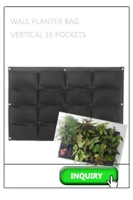 Bags vertical garden