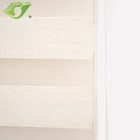 New design home decoration zebra window double roller blinds