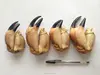 FROZEN COOKED CRAB CLAWS