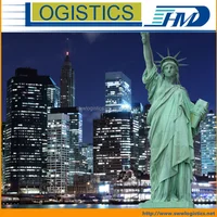 DDU DDP Service Fast Sea Freight