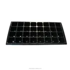 cheap price 32 cells plastic seedling tray nursery trays seed grow tray