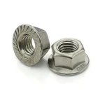 stainless steel 304 DIN6923 hex serrated flange nut