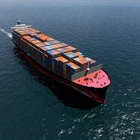 Excellent Service Professional Sea Freight Shipping Delivery From China To Usa