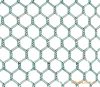 /product-detail/factory-directly-anping-pvc-coated-hexagonal-wire-mesh-for-sale-62031377160.html