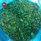 China New Crop Iqf Frozen Spinach Chopped Spinach Supplier