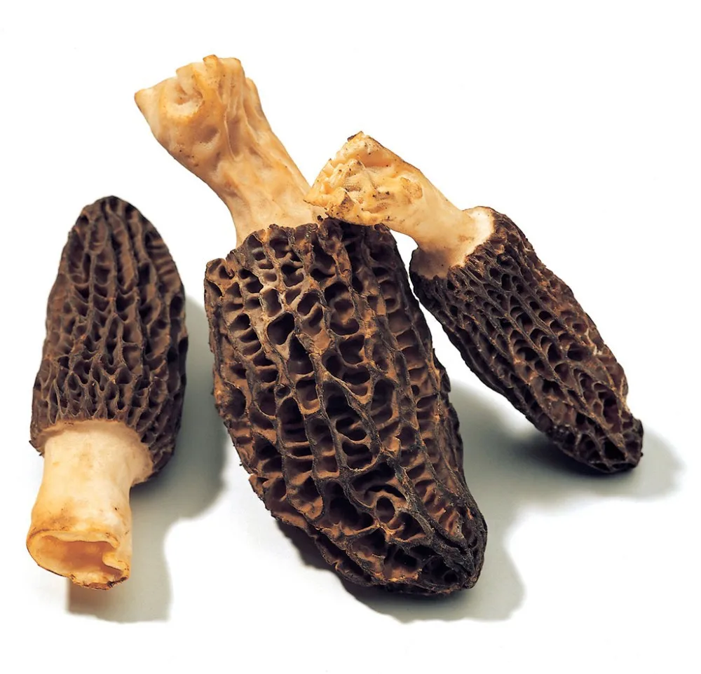 High quality cultivated dried sichuan HD005 fresh morel mushrooms