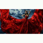 A woman in a red dress 5D DIY Diamond mosaic diamond embroidered Cross Stitch Home decoration Gift