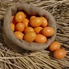 Children Play Kitchen Game Food Toy 6Pcs Wooden Faux Fake Eggs Easter Eggs