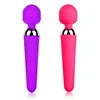 /product-detail/10-speed-wholesale-price-mini-wand-massager-for-women-dildo-vibrator-60838944018.html