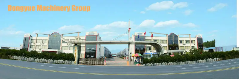 overview of Dongyue .jpg