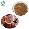 /product-detail/best-price-natural-ganoderma-extract-powder-62026154503.html