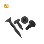 Promotion Pan Frame head self tapping screw framing head m6 self tapping screw
