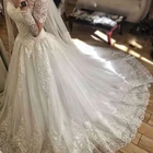 Long Train Long Sleeve Illusion Puffy Pleating Lace Princess Wedding Dresses Bridal Gown