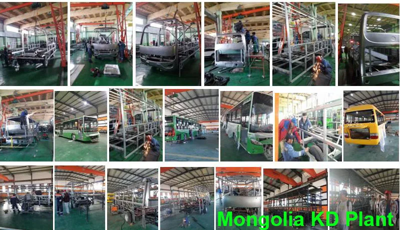 Mongolia KD Plant.jpg