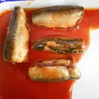 CANNED MEXICAN SARDINES IN TOMATO SAUCE