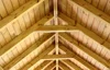 China New Thermowood House Wood Ceiling