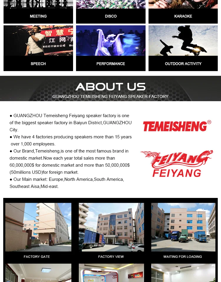 FEIYANG TEMEISHENG Newest private rechargeable trolley speaker 12inch for promotion - ANKUX.COM