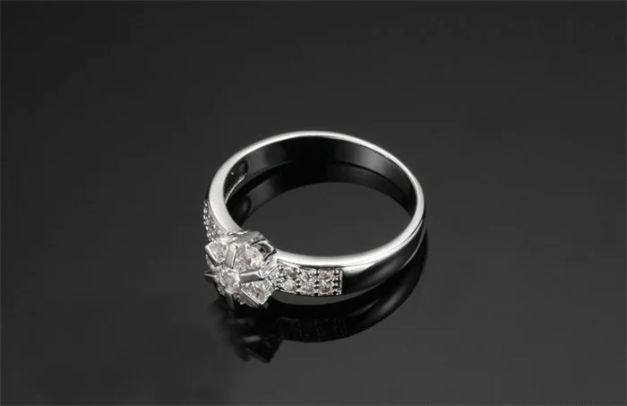 3728374132_1885966581