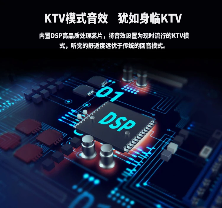 Professional DSP sound chipset ,Karaoke Microphone wireless BT speaker Family KTV L698DSP 20W Loud speaker - ANKUX.COM
