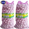 China the best sale 20kg bags garlic for Vietnam with factory price
