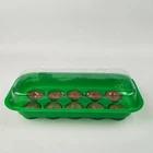 10 Cell Window Sill Seed Starting Kit 10pc coco Coir Plugs 1Tray 1 Lid High Quality Seed Starting Trays