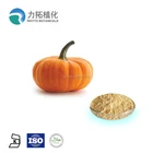 Good Taste Instant Pumpkin Juice Powder Spray Dried Pumpkin Powder