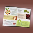 Professional foil company product catalogue books printing in dongguan