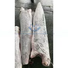 Frozen Blue Marlin Fish with Best Price