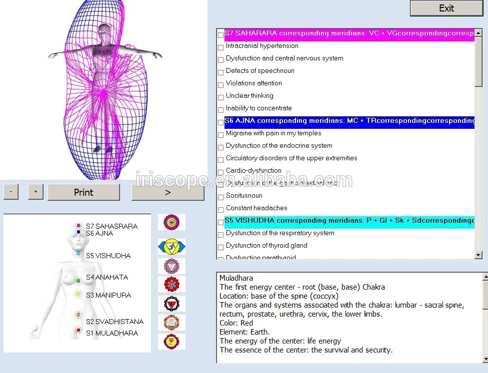 8D nls body analysis (7)