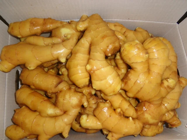 Fresh Ginger 150g Up In Mesh Bag/Carton/Pvc Box