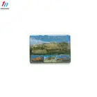 Factory OEM custom Clear Epoxy Resin Fridge Magnet