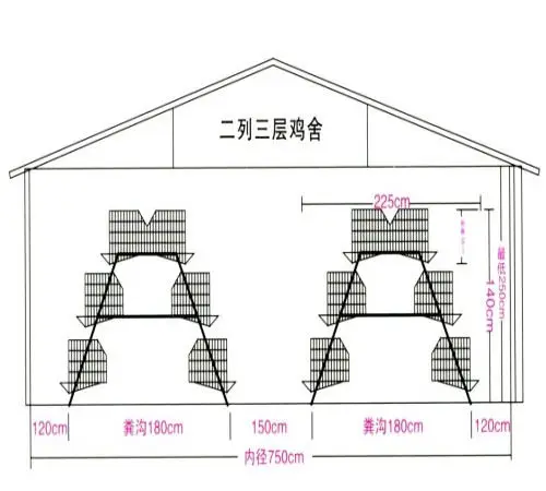 cage dimensions