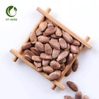 New Arrival Chinese Herbal Gua Lou Ren Snakegourd Seed