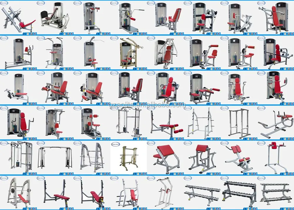 Weight Lifting Weight Lifting Equipment Names