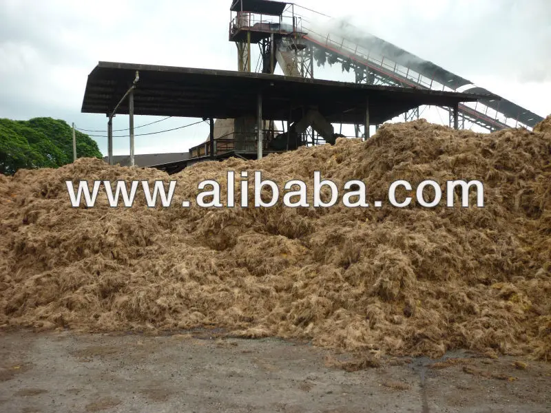 Mesocarp / Empty Fruit Bunches (EFB) Fibre