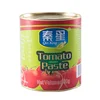 850g normal easy open high quality oem tomato paste xinjiang