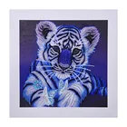 cute tiger MODERN Art Wall PAINTING for Crystal Home Decor