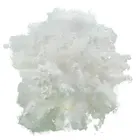Fiber Type Hollow Conjugated Style And Staple Fiber Type Polyester Staple Fiber Egypt