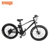 Fat tire mountain electric bicycle with shock absorber for sale