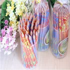 School Teenagers Pencil Fashion Drawing Pens Top Quality Mixing Paint Colors Funny School Supplies