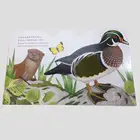 Paper Cardboard Child board Book Printing
