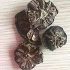 Noni (Morinda Citrifolia) Dried Fruit Slices