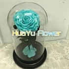 Dried flower roses preserved in glass as a gift for Valentine's Day gifts