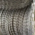 low price concertina razor blade barb wire fence for nigeria